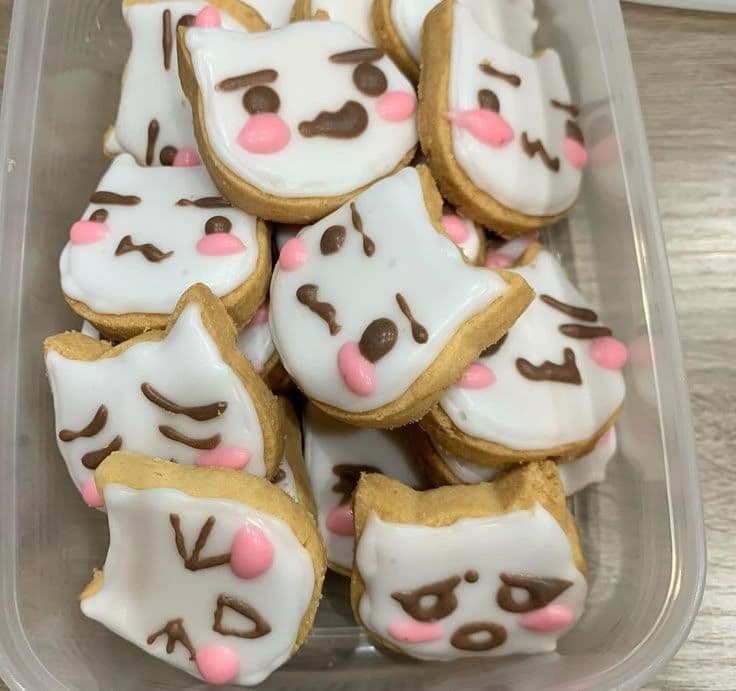 Galletas de Toru